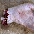 Severed_Hand_Prop