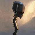 Spinal_Chord